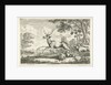 Deer Hunting by Drevet
