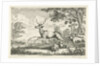 Deer Hunting by Drevet