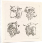 Four sheep heads by Barend Hendrik Thier