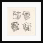 Four sheep heads by Barend Hendrik Thier