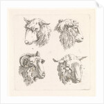 Four sheep heads by Barend Hendrik Thier