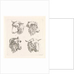 Four sheep heads by Barend Hendrik Thier