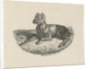 Reclining dog by Anthonie Willem Hendrik Nolthenius de Man