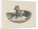 Reclining dog by Anthonie Willem Hendrik Nolthenius de Man