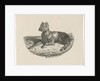 Reclining dog by Anthonie Willem Hendrik Nolthenius de Man