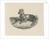 Reclining dog by Anthonie Willem Hendrik Nolthenius de Man
