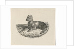 Reclining dog by Anthonie Willem Hendrik Nolthenius de Man