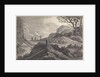 Burros on a road by Pieter Nolpe