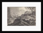 Burros on a road by Pieter Nolpe
