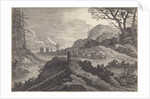 Burros on a road by Pieter Nolpe