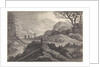 Burros on a road by Pieter Nolpe