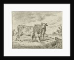 Two cows by Cornelis van Noorde