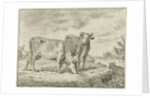 Two cows by Cornelis van Noorde