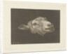 Sheep's head by Pieter Gerardus van Os