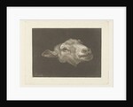 Sheep's head by Pieter Gerardus van Os