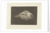Sheep's head by Pieter Gerardus van Os