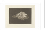 Sheep's head by Pieter Gerardus van Os