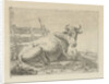 Lying cow at a fence by Anonymous