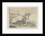 Lying cow at a fence by Anonymous