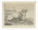 Lying cow at a fence by Anonymous