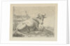 Lying cow at a fence by Anonymous