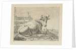 Lying cow at a fence by Anonymous