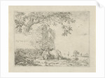 Lying calf for a ruin by Anonymous