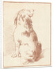 Sitting dog by Aert Schouman