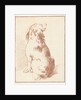 Sitting dog by Aert Schouman
