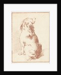 Sitting dog by Aert Schouman