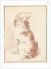 Sitting dog by Aert Schouman