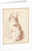 Sitting dog by Aert Schouman