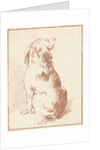 Sitting dog by Aert Schouman