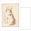 Sitting dog by Aert Schouman