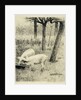 Two pigs in a trough by Willem Witsen