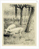 Two pigs in a trough by Willem Witsen