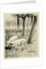 Two pigs in a trough by Willem Witsen