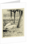 Two pigs in a trough by Willem Witsen