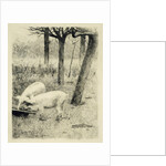 Two pigs in a trough by Willem Witsen