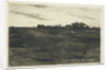 Heather Landscape by Willem Witsen