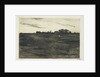Heather Landscape by Willem Witsen