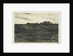 Heather Landscape by Willem Witsen