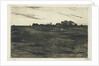 Heather Landscape by Willem Witsen