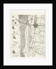 Map of Delfland (leaf center left) The Netherlands by Floris Balthasar