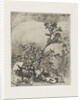 Two plants and a frog by Martinus Antonius Kuytenbrouwer Jr