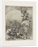 Two plants and a frog by Martinus Antonius Kuytenbrouwer Jr