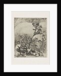 Two plants and a frog by Martinus Antonius Kuytenbrouwer Jr