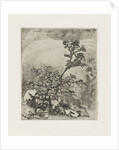 Two plants and a frog by Martinus Antonius Kuytenbrouwer Jr