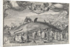 Stranded whale at Beverwijk by Jan Saenredam