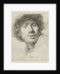 Wide-eyed by Rembrandt Harmensz. van Rijn